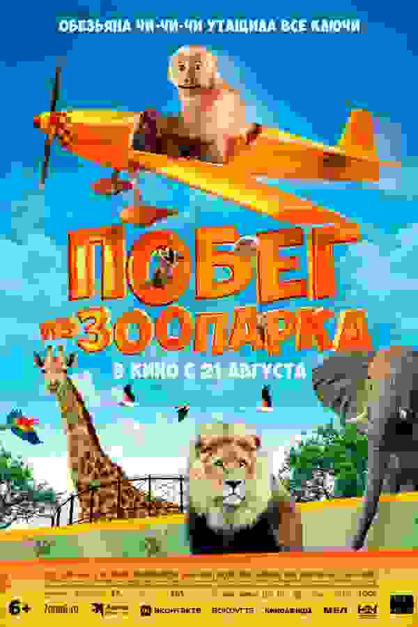 Размытый фон новости